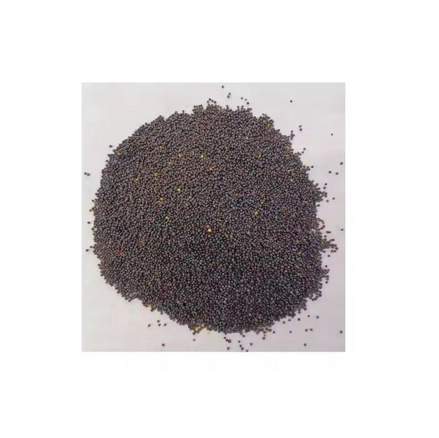 Canola Seeds - Bulk Packaging