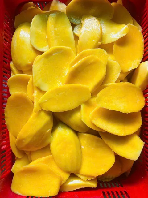 Premium Soft Dried Mango Slice
