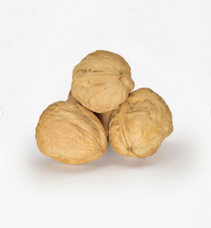Walnut Kernel Product Image 3