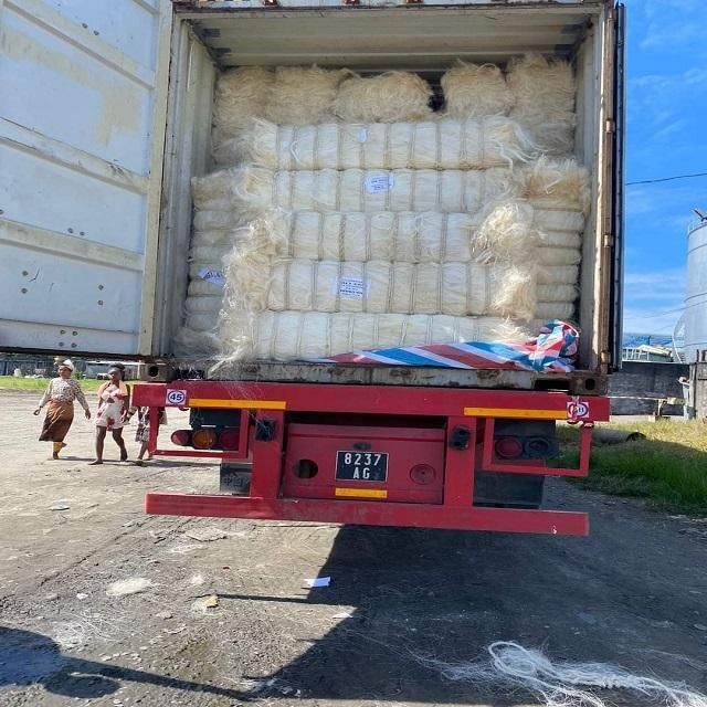 Sisal Fiber Image