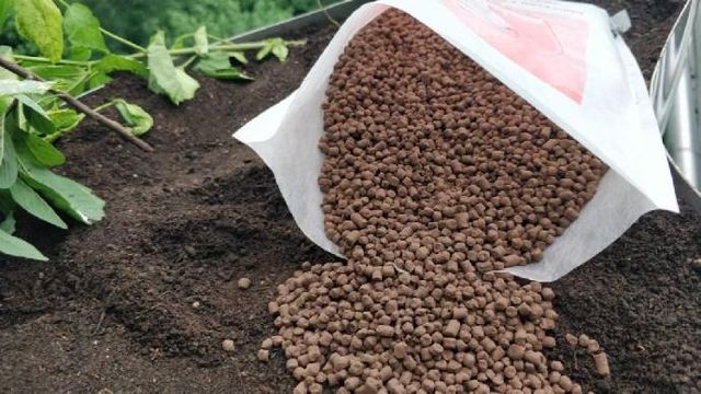 Neem Khali Product