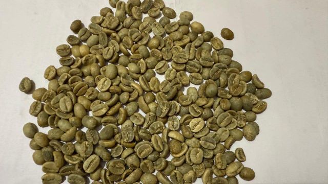 Green Coffee Beans 1