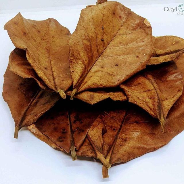 Cattapa Leaves Super Grade image 1