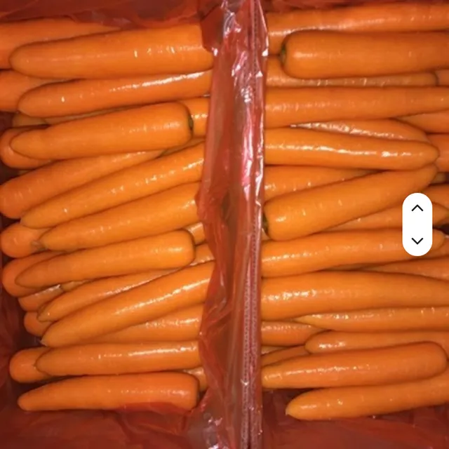 Close-up of fresh premium carrots