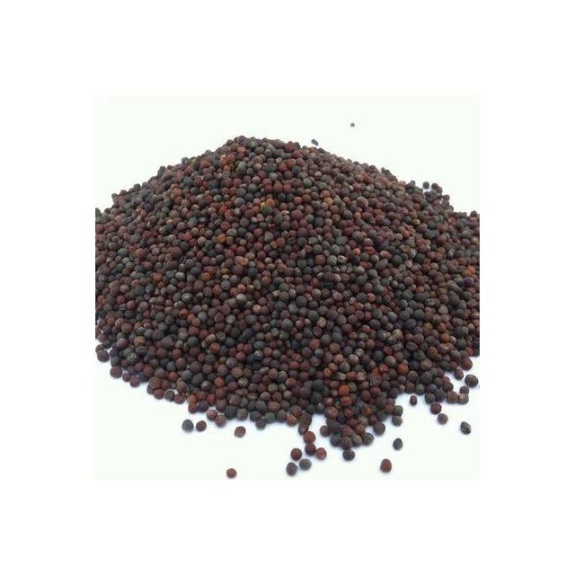 Canola Seeds Image 2