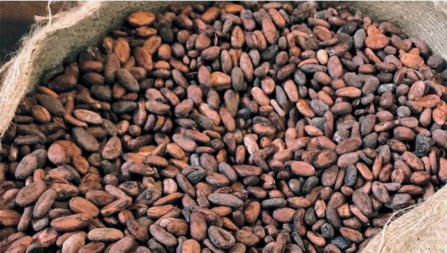 Cocoa Product 2