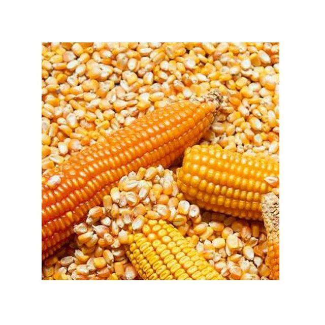 Yellow Corn Product
