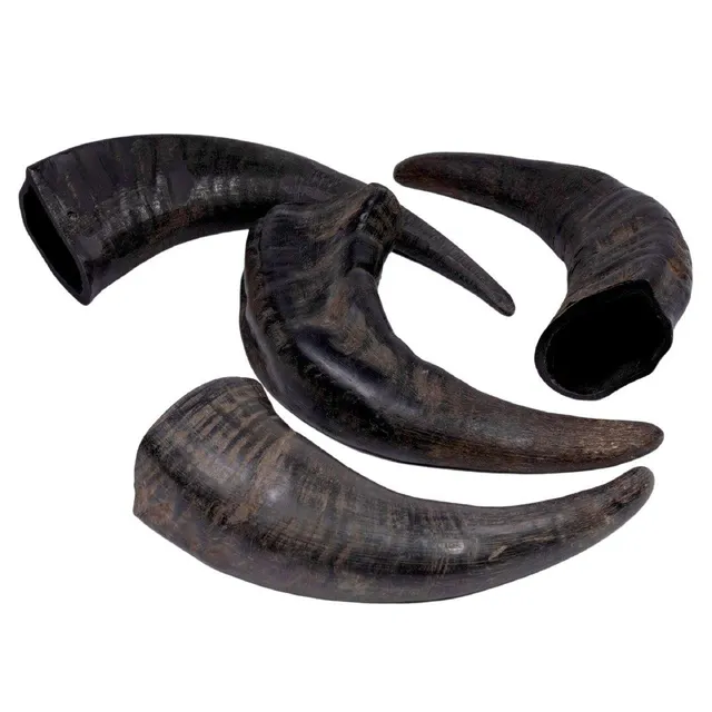 Horn Dog Chew Image 5