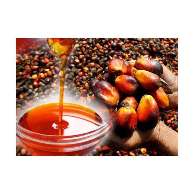 Refined Palm Oil