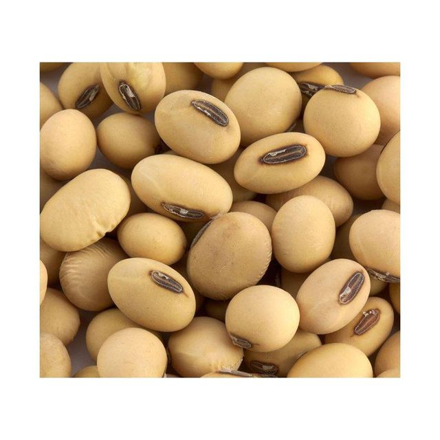 High-Quality Soybeans - Nutrient-Rich