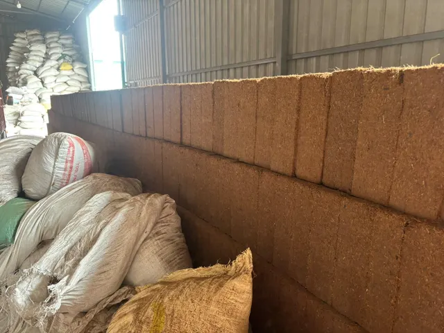 Cocopeat Block product image 10