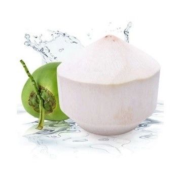 Golden Tropic Coconut Product