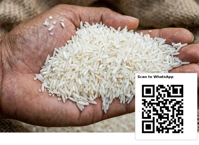 Close up of IRRI-6 Long Grain White Rice Grains