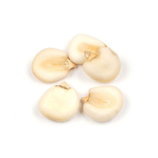 Premium White Corn for Animal Feed