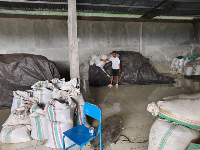 Bags filled with Premium Robusta Green Coffee Beans