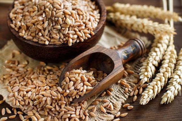 Hard Red Spring Wheat Specialty Blend