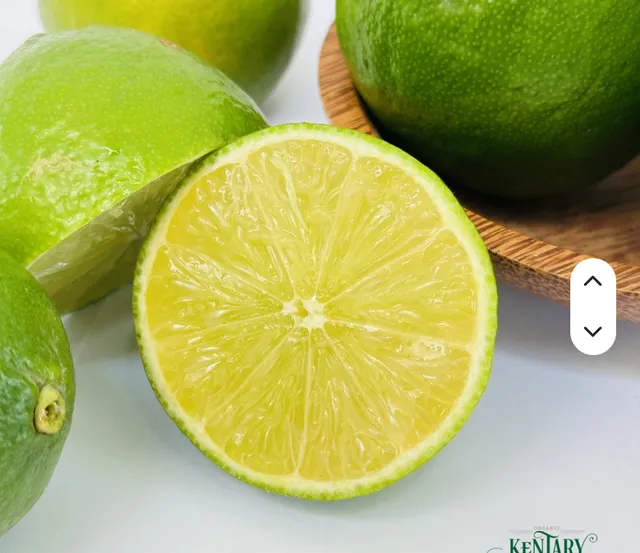 Rich Aroma Bulk Farm Supply Premium Citrus Green Lemons Image 1