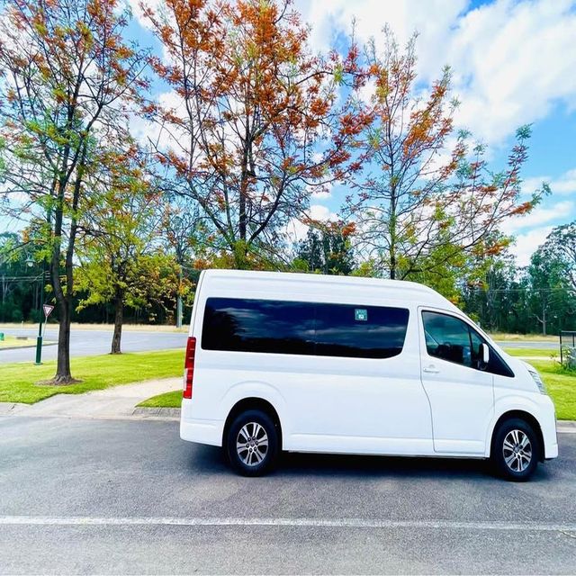 Hiace Van Rear View