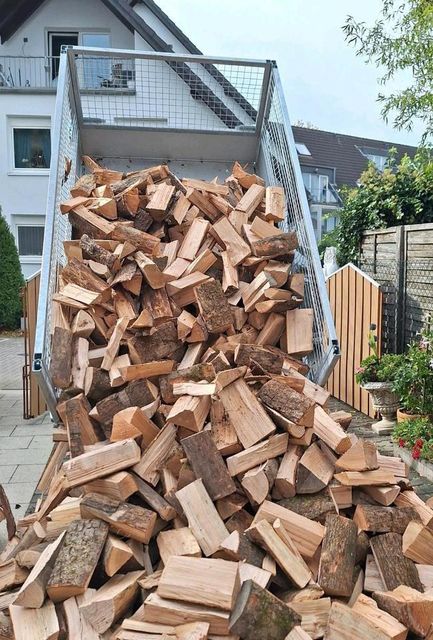 25cm Firewood – Oak, Hornbeam, Beech, Ash, Maple