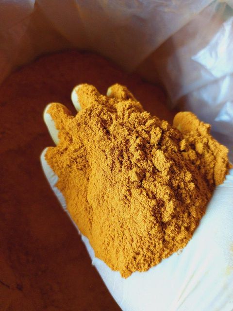 Turmeric Powder - Natural & Organic