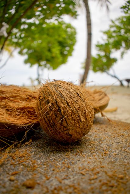 Dried coconut