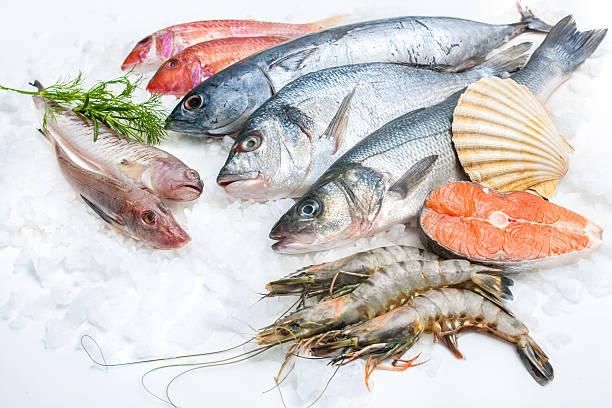Frozen Fish Product 1