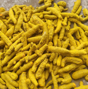 Turmeric Finger Image 4