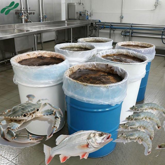 Squid Product Image 2
