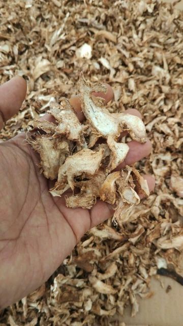 Dried Ginger