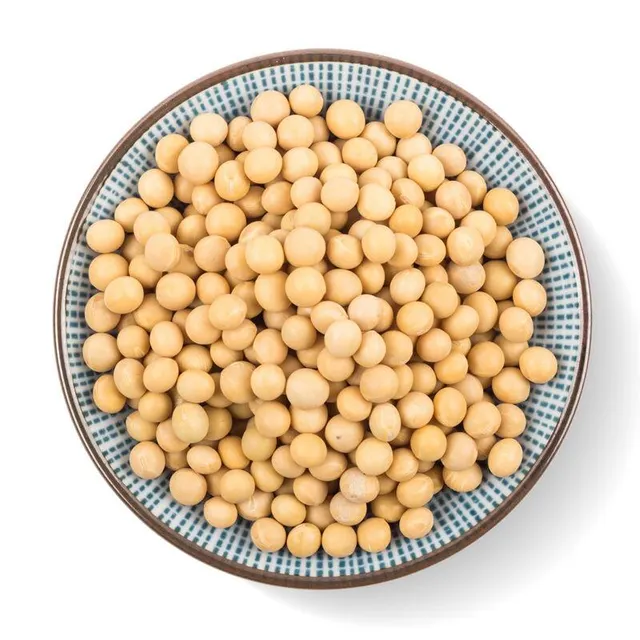 Close-up of raw soybean grains