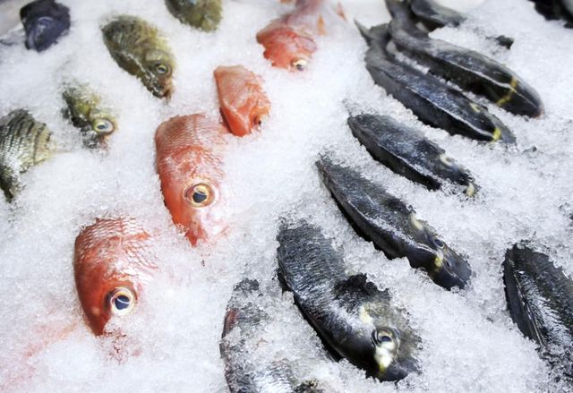 Frozen Fish Product 2