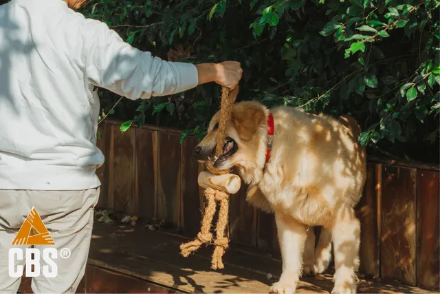 COFFEE&COCO Tug for Dog Chew Toy