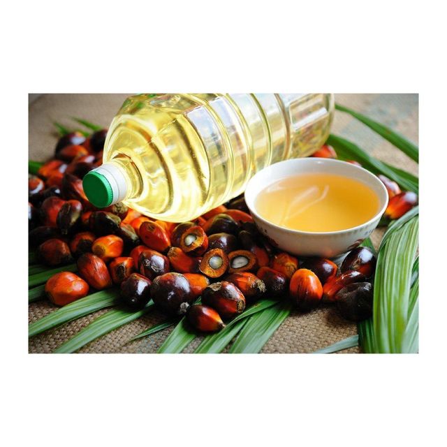Palm Oil Product 3