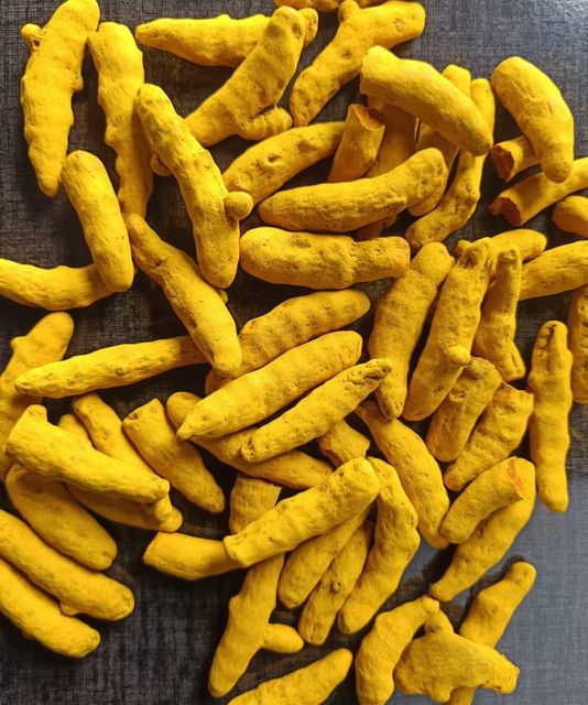 Turmeric Finger