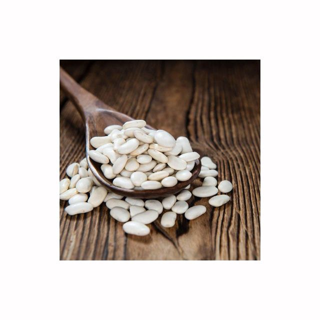 White kidney beans in storage container