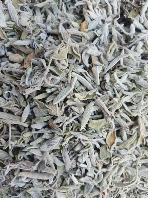 Fresh Sage Leaves