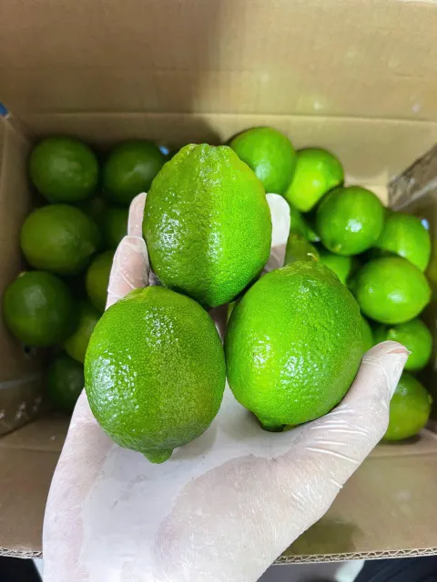 Vietnam Seedless Lime