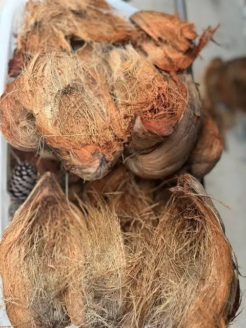 Wholesale Coconut Husk Product Image 5