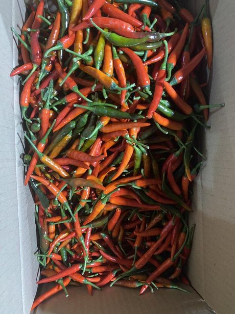 Frozen Chilli Image 2