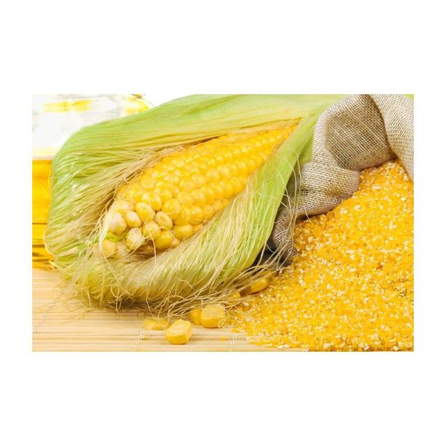 Corn Gluten Meal Image 2