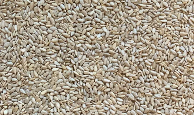 Sunflower kernels in natural packaging