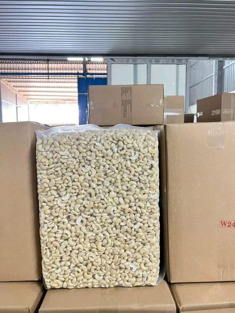 Cashew Nuts Kernels - Creamy Texture Grade W240 W320