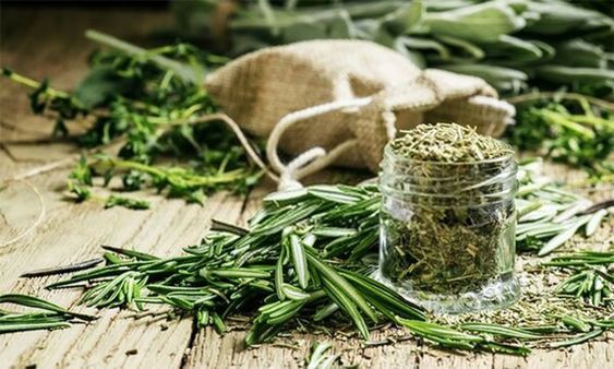 Rosemary Powder Leaf