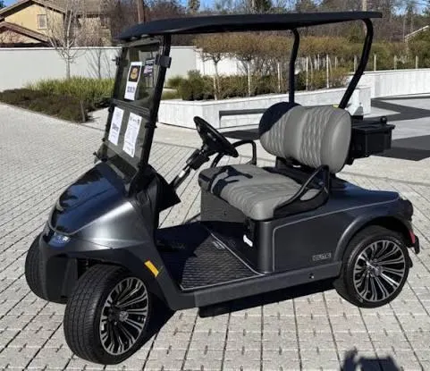 Off Road Electric Golf Cart Interior Seating