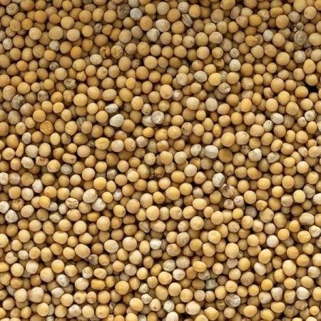 Mustard Seeds - Industrial Packaging