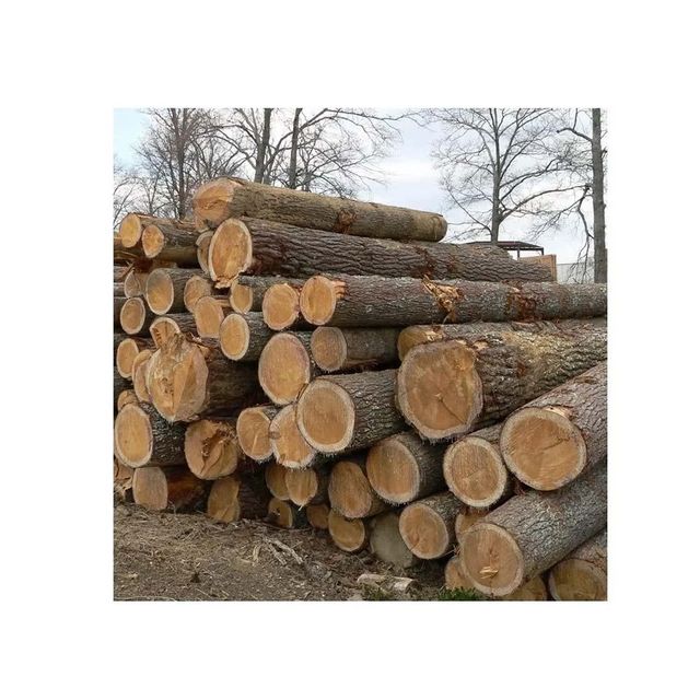 Round Logs Product 2