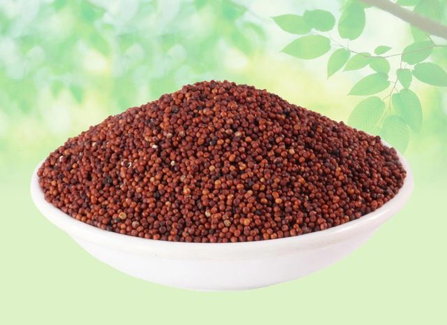 Finger Millet Grain - Natural Bulk