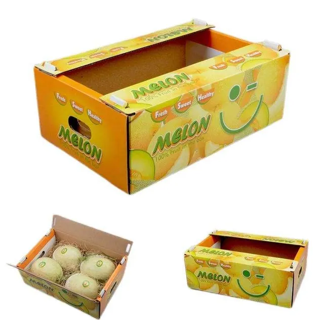 Attractive printed carton packaging for cantaloupes - 3