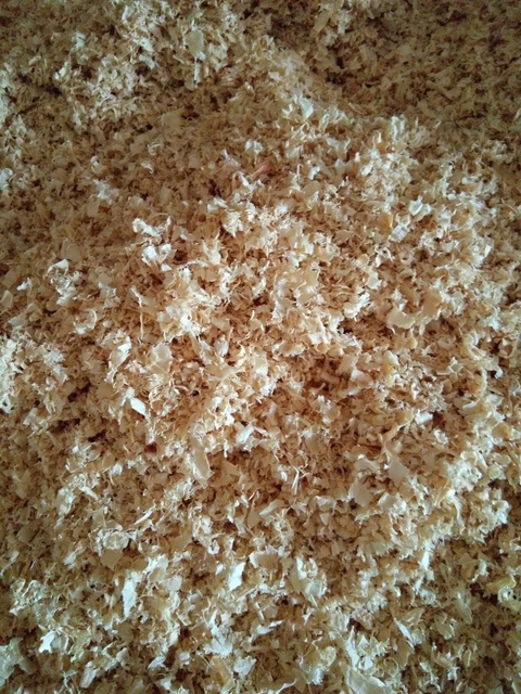 Pine Shavings Production Process