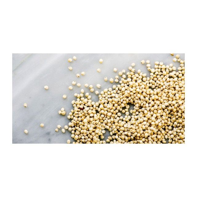 Sorghum Grain Pack